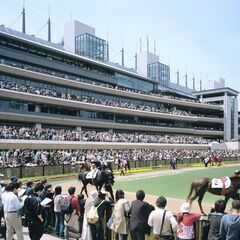 キッチンカーでCM出演！JRAのCMに出演できるキッチンカーを募...