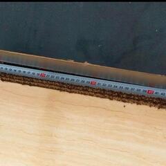 88鍵盤 無音鍵盤 トレーニング用の画像