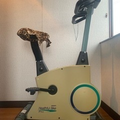 OMRON Healthful Bike HBE-750