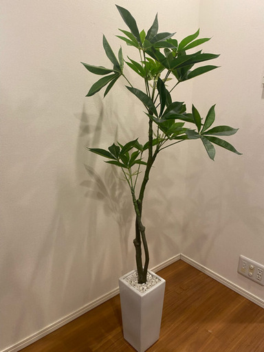 人工観葉植物 フェイクグリーン 観葉植物 パキラ 造花 光触媒 5号
