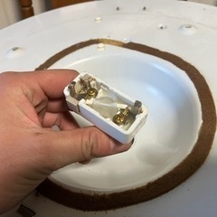 シーリングライト　8畳用　蛍光灯器具の画像