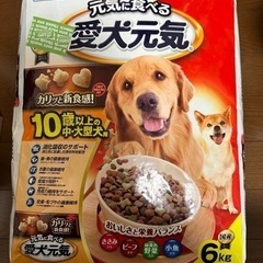 ドッグフード　愛犬元気10歳以上　6kg  2袋