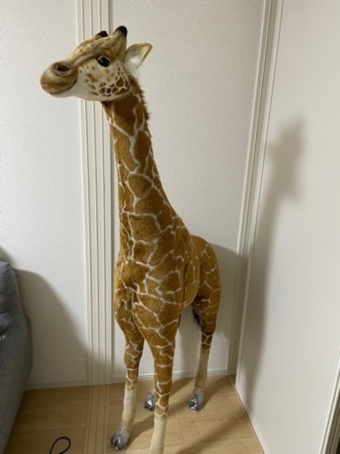 hansa キリン　180