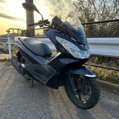 【タイヤ前後新品】ホンダ・PCX 125cc JF56 自賠責9...