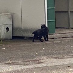 気軽に遊べる友達が欲しい！