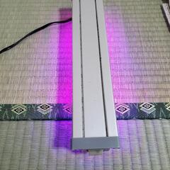 アクアリウム用品 照明 水槽セット 手数料込みの画像