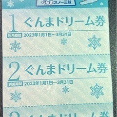 群馬県内各スキー場　リフト券