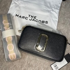 Alice in Chains アリス・イン・チェインズ DIRT ギターピック