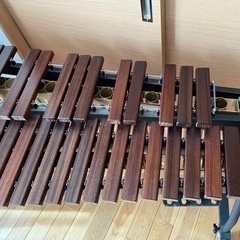 KOROGI マリンバ  650K  こおろぎ　コオロギの画像