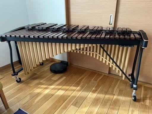 KOROGI マリンバ  650K  こおろぎ　コオロギ