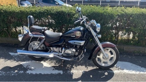 オーナー様決定　激レア　ヒョースン　アメリカンバイク