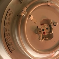 スリムランプ
