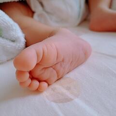令和4年8月産まれの子を育てています🌸