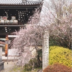 【出店者募集】梅宮大社 - 京都市
