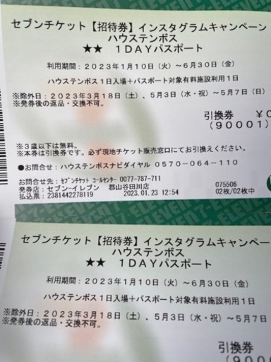 ハウステンボス 1日券 ペア（2枚セット）