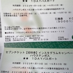 ハウステンボス 1日券 ペア（2枚セット）