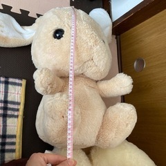 ぬいぐるみ①の画像
