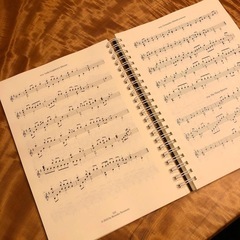 【書籍版】『20弦ハープで奏でる366の曲集』寺本圭佑編著の画像