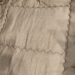 こたつ敷布団の画像