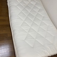 【取引き先決定】ニトリ　セミダブル布団