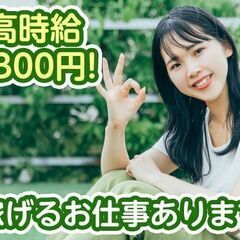 ピッキング・組立作業◎弊社スタッフ活躍中♪　日払い対応の画像