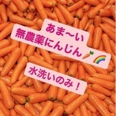 最終！生であま〜い　栄養満点　無農薬　にんじん