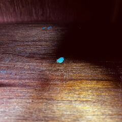  10988  シューズボックス　靴箱　両開き   🚗2月18、19日大阪～尼崎方面 条件付き配送無料！🚗    の画像