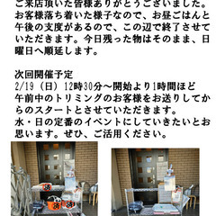 2月22日水12時30分頃～1時間ほど（水・日昼休みの定期開催）...