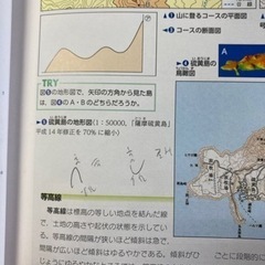 新詳地理B 帝国書院の画像