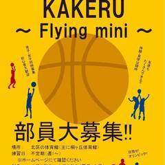ミニバス（U12バスケ）チーム『KAKERU ～Flying Mini～』の募集の画像