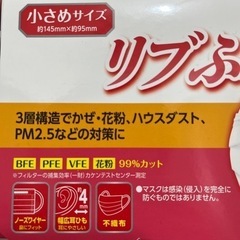 小顔の大人・小学生向け小さめサイズ 使い捨て 不織布マスクの画像
