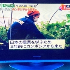 32インチ液晶テレビ　Panasonic