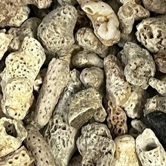 【ろ過材まとめ売り】未使用 アクアリウム向け サンゴ砂 500gの画像