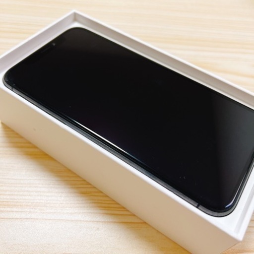 iPhone X Space Gray 256 GB