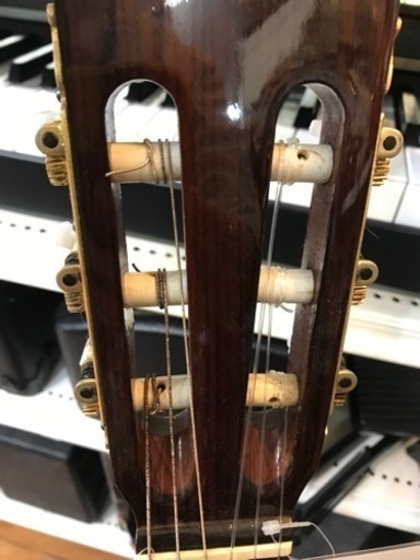 SUZUKI クラシックギター