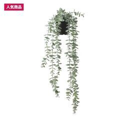 【取りに来ていただける方】IKEA　人工観葉植物