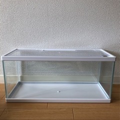 tetra ガラス水槽　
