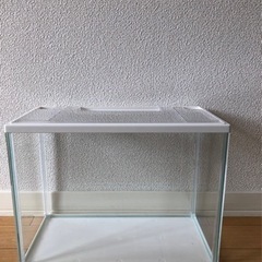 GEX ガラス水槽