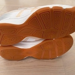 サッカーシューズ【インドア】19cmの画像