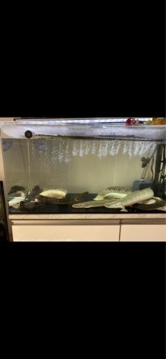 水槽　90センチ　アクリル