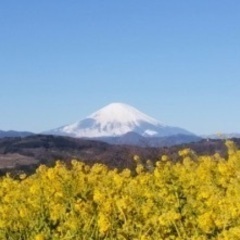 2/19(日)吾妻山〜鷹取山