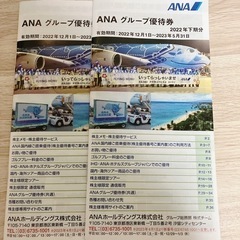 ANAグループ優待券