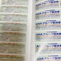 ANAグループ優待券の画像