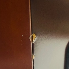 ONKYOオンキョー音響   スピーカーペア   D-N9NX   中古の画像