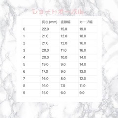 シンプルネイルチップの画像