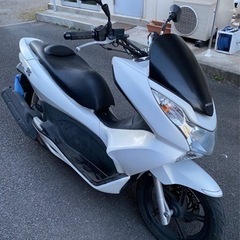 pcx125 JF28 日本優勝おめでとう値下げ、