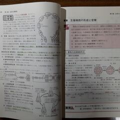 すご～く昔の理科の教材の画像