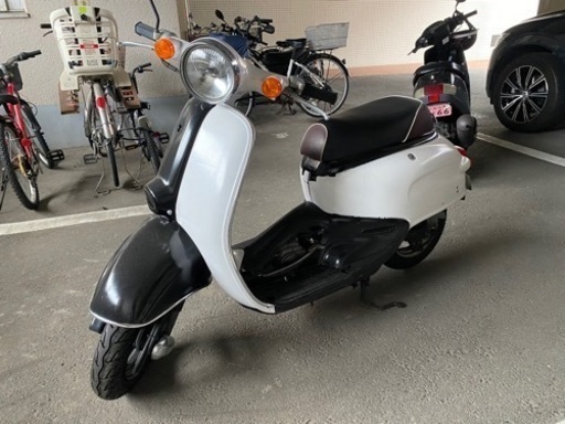 ジョルカブ！希少？問い合わせ多数！早い者勝ち！