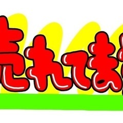 売切御免【みかん詰め放題】500円でみかん山盛 − 大阪府