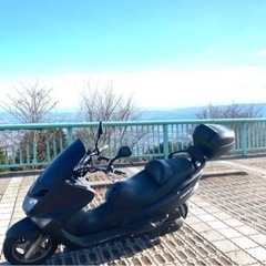 【実働】マジェスティ125Fi 東京 神奈川 関東の画像